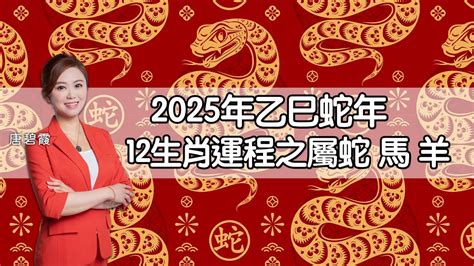 2025蛇年運程|蘇民峰2025生肖運程｜一文睇晒蛇年十二生肖整體運 